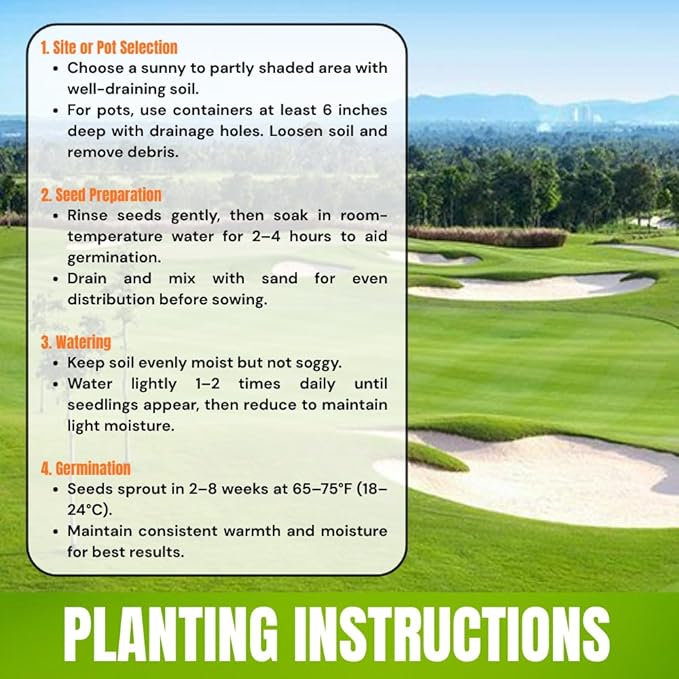 30000 Zoysia Grass Seeds for Lawn, Hardy Zoysia Seeds for Outdoor Gardens and Landscaping