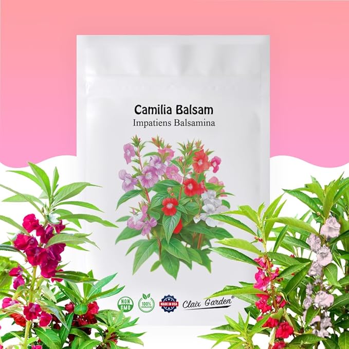 Camilia Flowered Balsam Mix - Impatiens Balsamina - 750 Seeds - Bright Mix Colors, Heirloom, Non-GMO, USA Grown, Excellent for Pollinators, Annual