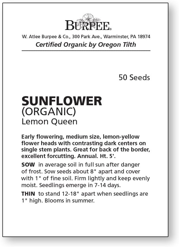 Burpee Lemon Queen Organic Sunflower Seeds 50 seeds
