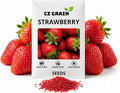 Berry Bliss Vegetable Garden Seeds – Heirloom Red Strawberry Variety – Vibrant, Flavorful, Easy-to-Grow Vegetables for Fresh Salads, Cooking & Home Garden Fun