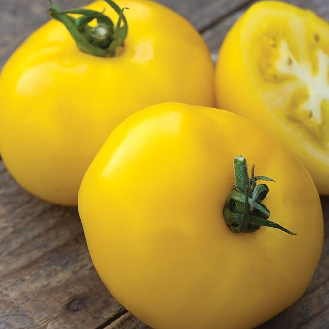 Burpee 'Sunny Boy' Hybrid, Yellow Beefsteak Slicing Tomato, 30 Non-GMO Seeds