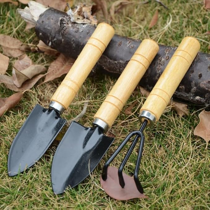 6 PCS Mini Gardening Tool Set, Shovel, Spade, Rake Kit with Ergonomic Wooden Handles for Planting, Weeding and Cultivating, Kid Gardening Plant Tool for Cactus Herbs Indoor Miniature Plants(2 Sets)