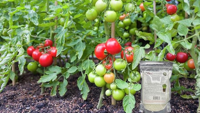 The Ultimate Super Absorbent Polymer for Thirsty Plants - Reduce Watering, Boost Growth, and Save Water-1 Pound