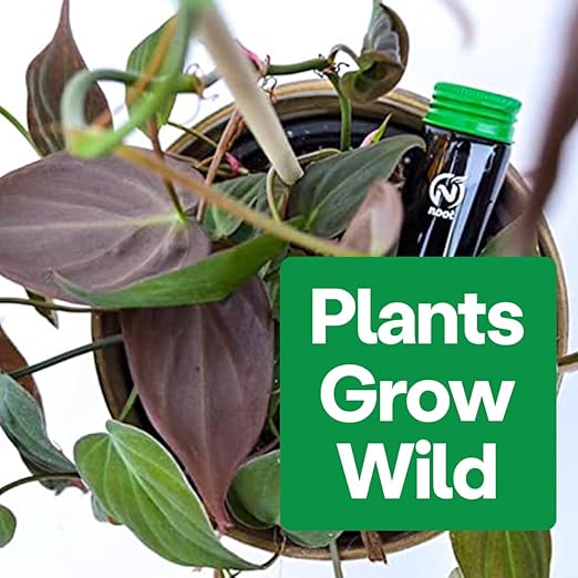 Noot 'Keep House Plants Alive' Bio-Organic Plant Food Liquid Fertilizer, Makes 3.5 Gallons, Root Boosting Mycorrhizae, Fast Growth for Monstera, Aroid, Succulent, Orchid - Use Every Watering (1 Vial)