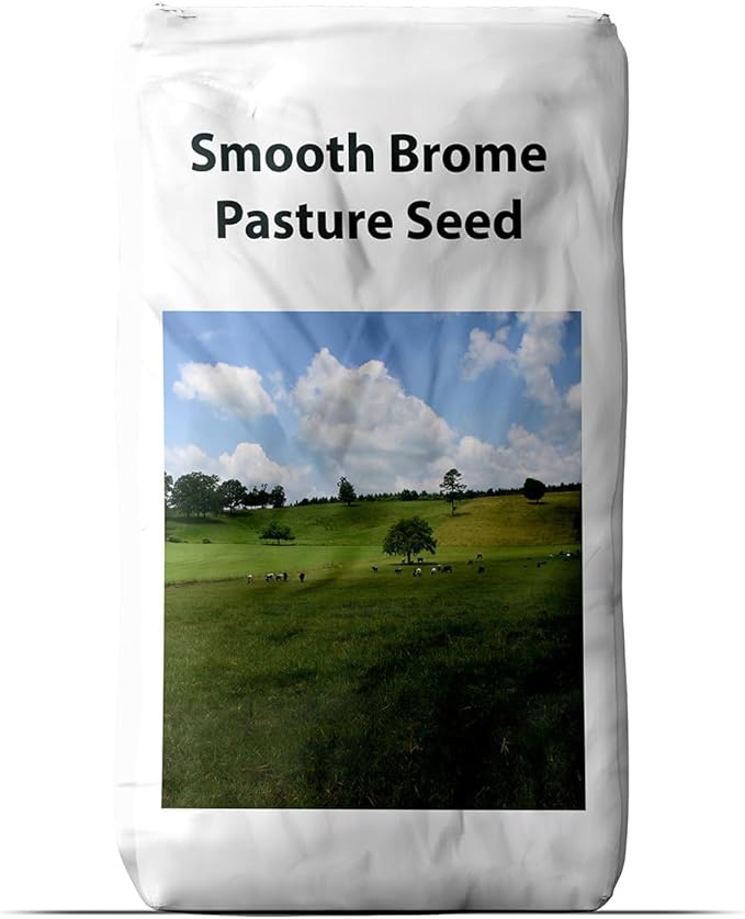 Outsidepride 5 lb Smooth Brome Pasture Seed for Planting