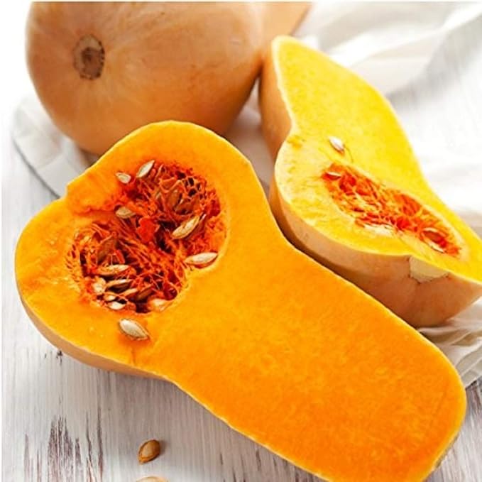 Waltham Butternut Squash Seeds,50 Count COOL BEANS N SPROUTS Brand. Heirloom. Non-GMO. Home Gardening.