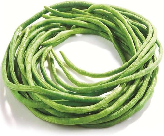 30PCS Yard Long Bean Seeds Heat Tolerant Non-GMO Heirloom Seeds