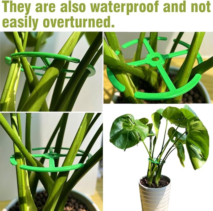 8 Pcs Plant Stem Support for Indoor Outdoor, Large 360-degree Different Sizes Monstera Support, Reusable Plastic Climbing Plant Stakes, Cages (Green)