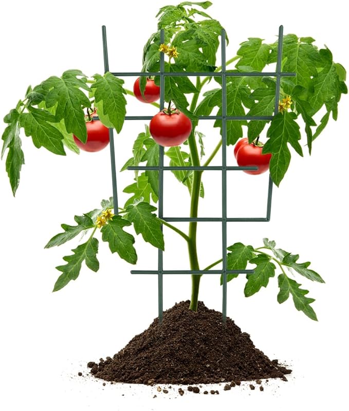 12inch Small Plant Trellis for Climbing Plants Indoor, 5Pcs Plastic Stackable Mini Garden Lattice for Potted Vines, Hoya, Pothos, Plastic Superimposed Support Stakes for Flower Vegetable (Green)
