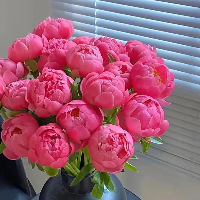 100pcs Peony Lactiflora Seeds for Cut Flower Farming - Long Stem Variety, Commercial-Grade Blooms, High Yield Perennial for Florist Supply