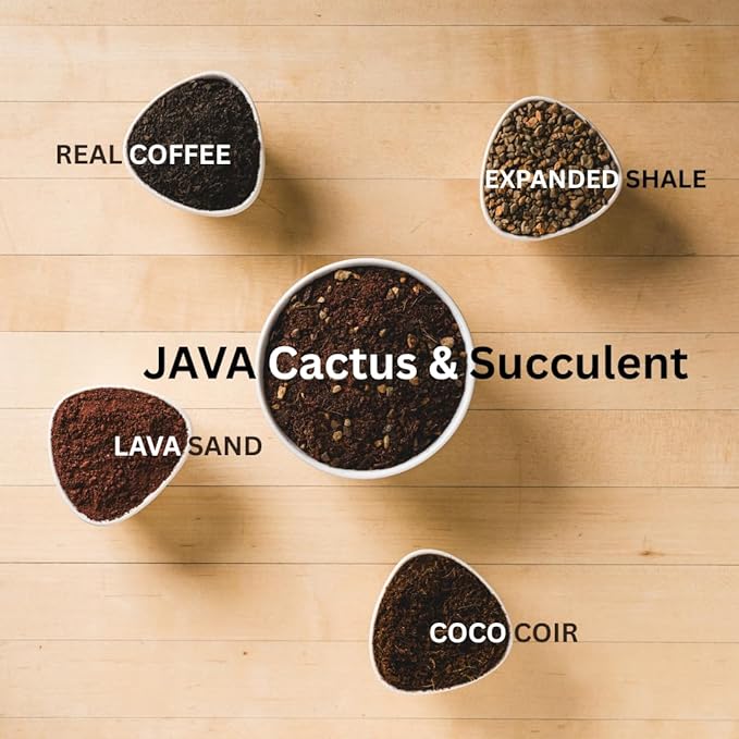 Java Cactus & Succulent Soil: A Gritty, Fast‑Draining, Peat-Free, Ready‑to‑Use Potting Mix for Cacti & Succulents -Keeps Roots Well Aerated for Indoor Pots & Plants. USA Made (6QT)