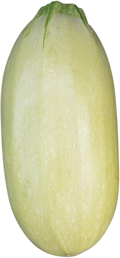 Burpee Great Griller Hybrid Summer Squash Seeds 30 seeds