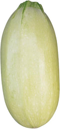 Burpee Great Griller Hybrid Summer Squash Seeds 30 seeds