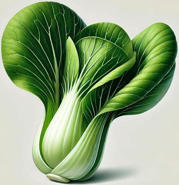 Seeds Bok Choy Chinese - Green Cabbage - Heirloom Vegetable - GMO Free