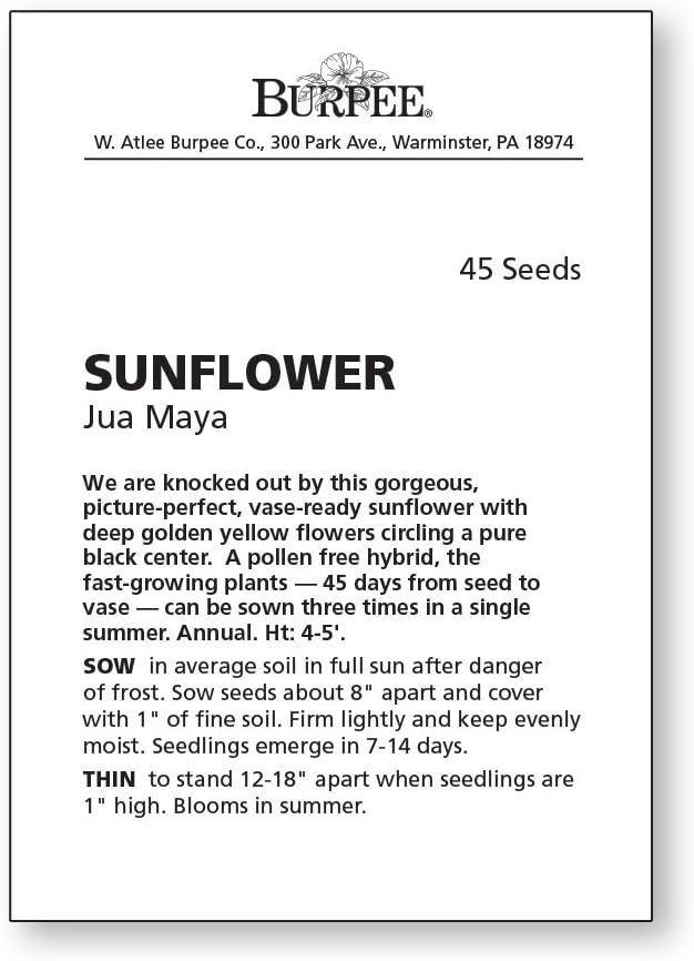 Burpee Jua Maya Hybrid Sunflower Seeds 45 seeds