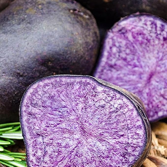 60 Purple Potato Seeds for Growing Outdoors, True Potato Seeds Easy to Plant
