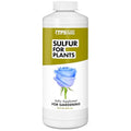 Sulfur Fertilizer – Liquid Sulfur Amendment for Greener Leaves, Better Nutrient Uptake & Stronger Plants, 32 oz