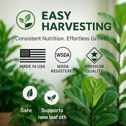 Fiddle Leaf Fig Fertilizer by Easy Harvesting – Premium 3-1-2 Liquid Plant Food | One Bottle Makes 118 Gallons | Pet Safe, Gentle Formula for Indoor Houseplants (16oz Pump Bottle)