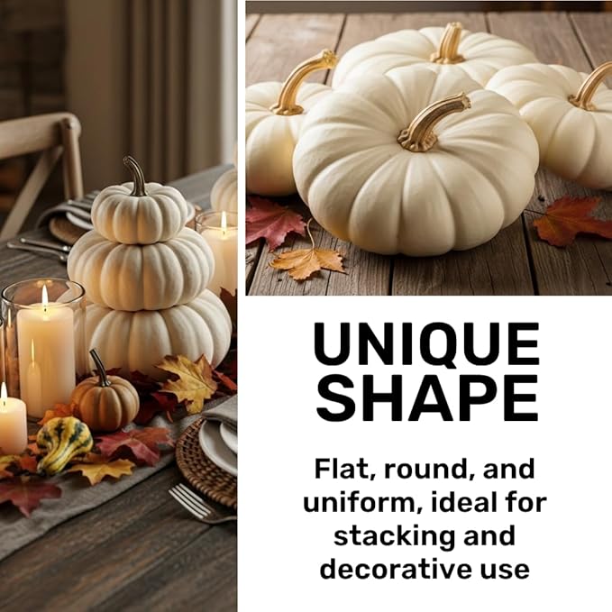 Pumpkin Seeds for Planting – 10 Exotic White Flat Stacker Seeds – Rare, Hard-to-Find Pumpkin, Squash, and Gourd Variety – Perfect for Vegetable Gardens
