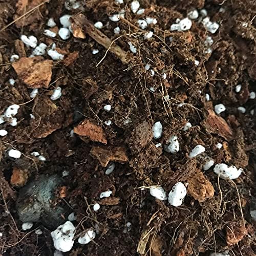 rePotme Bromeliad and Jewel Classic Potting Soil Mix - Junior Bag
