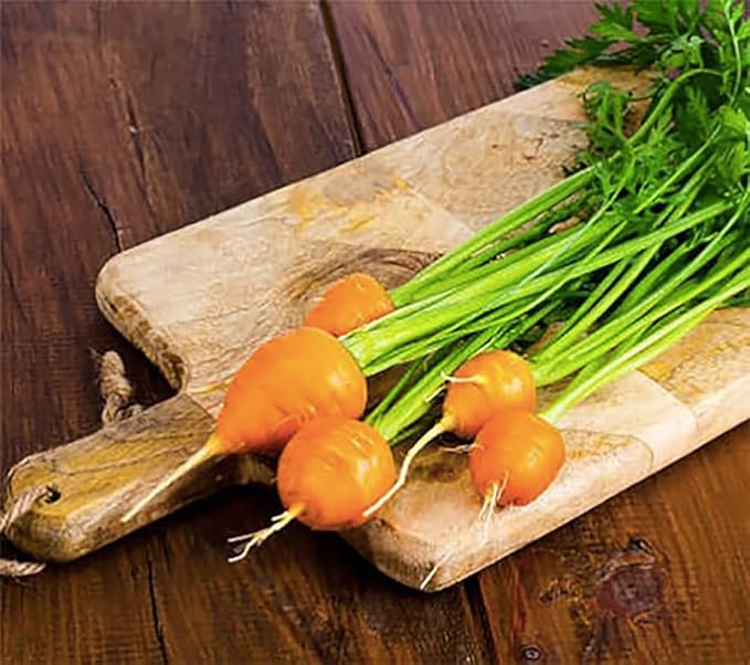 Round Baby Parisian Carrots Seeds A Delicacy Prised by Gourmet Restaurants Delicious Carrot Vegetable Seeds - 1000 Seeds