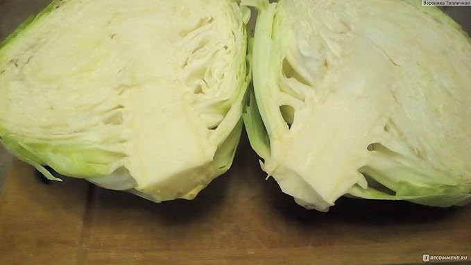 Seeds Vegetable Cabbage Winter Green - 100 Seeds