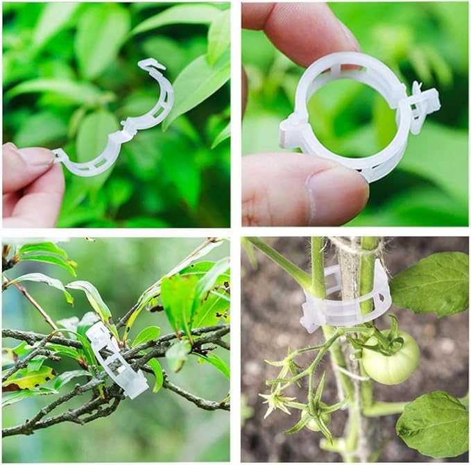 Clear Plant Support Clips 200 PCS, Reusable Plastic Garden Clips for Climbing Plants, Tomato Trellis Clips for Cucumber Eggplant