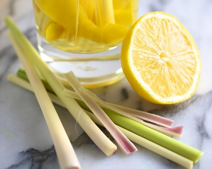 Seeds Lemongrass - Cymbopogon - Heirloom Herb - GMO Free