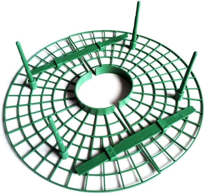 10 Pack Strawberry Supports Keeping Fruit Elevated & Balcony Planting Rack Fruit Support Plant Flower Climbing Vine Pillar Gardening Stand