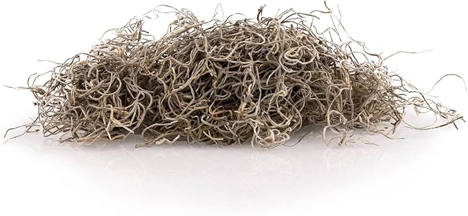 Gardenera Premium Natural Spanish Moss | Natural Preserved - Great Ground Cover - Filler for Potted Plants - 3 Quart Bag