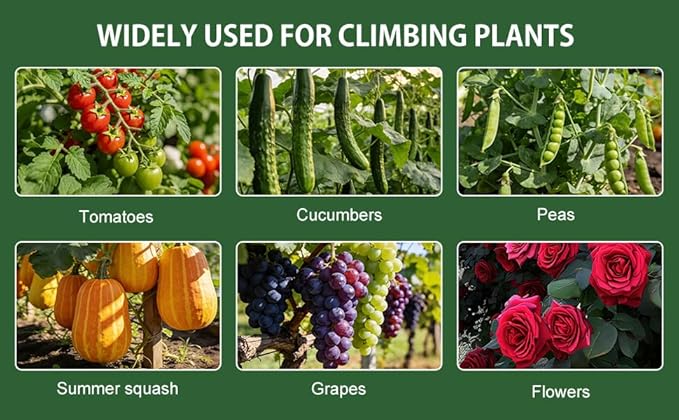 U-Shape Cucumber Trellis for Raised Beds - 47.2”x47.2”x21.6” Green Metal Arch Trellis, Rust-Resistant Garden Plant Support for Climbing Vegetables, Vines, Flowers - Heavy Duty & Easy to Assemble