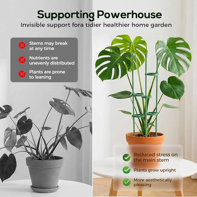 Plant Stakes Set, 2026 New Plant Support Stakes with Clips, Adjustable Plant Support Structures for Indoor Outdoor, Plant Holder Sticks for Stabilizer Tall Potted Plants, Monstera,Orchids (10, 11.8in)