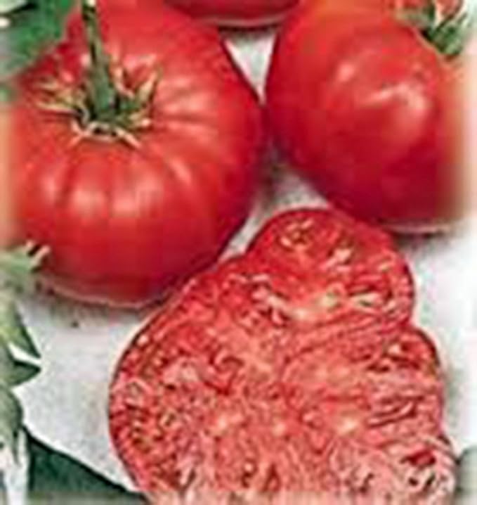 Tomato, Beefsteak, Heirloom, 100 Seeds, Great Sliced Tomato, Delicious