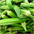 100 Emerald Okra Seeds for Planting Non GMO Heirloom Seeds Instant Latch Fresh Garden Seed