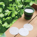 Park Seed Easy DIY Planting Sow Effortless Collection Seed Discs, Organic Cilantro, (Set of 3)