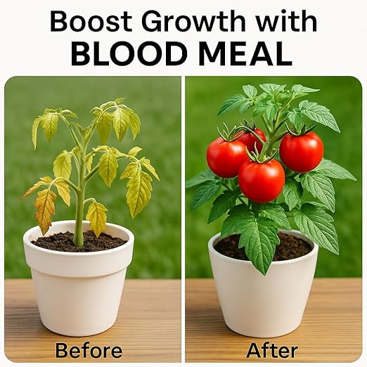 𝐁𝐄𝐒𝐓𝐒𝐄𝐋𝐋𝐄𝐑 Organic Blood Meal Fertilizer by Gardenera - 12-0-0 NPK - All-Natural Plant Food Source of Nitrogen for Organic Gardening, Flowers, Vegetables, Trees & Shrubs - 3 QUARTS