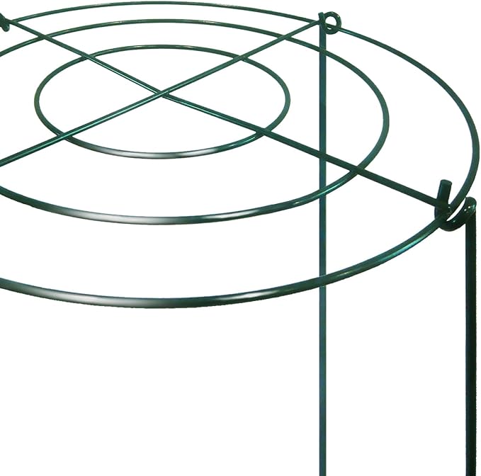 TCBWFY 8 Sets Peony Support Cage, 12" Dia x 24" High, Heavy Duty Metal Plant Support, Grow Through Hoops Grids, 4mm Legs, Green, Round