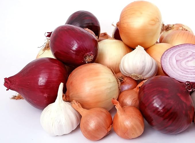 500+ Seeds Onion - Vegetable Mix