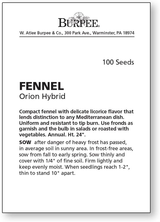 Burpee Orion Hybrid Fennel Seeds 100 seeds