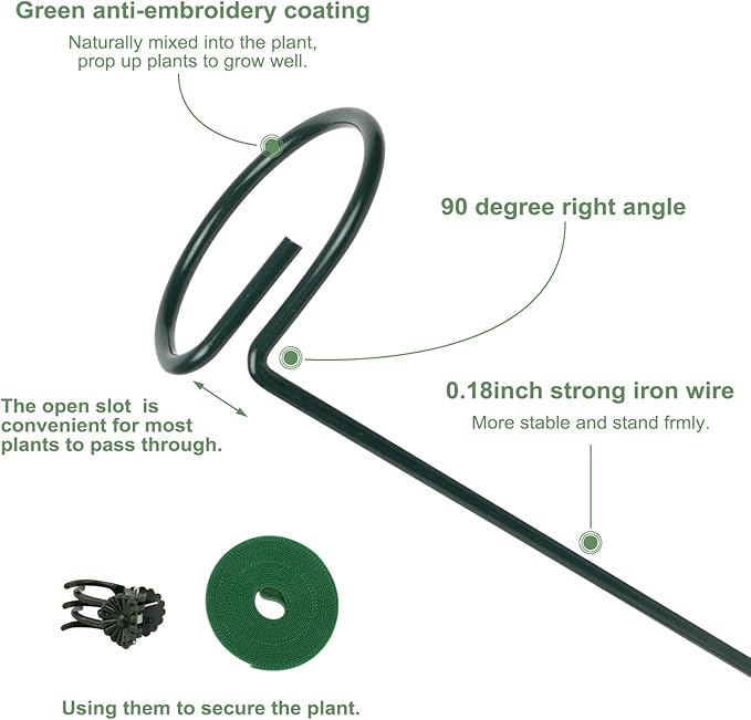 6 Packs Plant Support Sticks for Indoor Plants, Two Sizes (12 or 24 Inches) Orchid Stick and Clip, 0.18 inch Thicker Support Stake with Plant Ties and 12 Pcs Plant Clips for Flowers