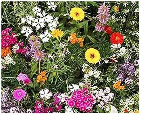 Fragrant Flowers Mix Seeds