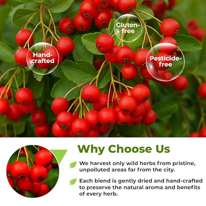 16 oz. Hawthorn Berry Herb Tea Espino blanco (Crataegus L.) - 453g Hawthorn Berry Tea