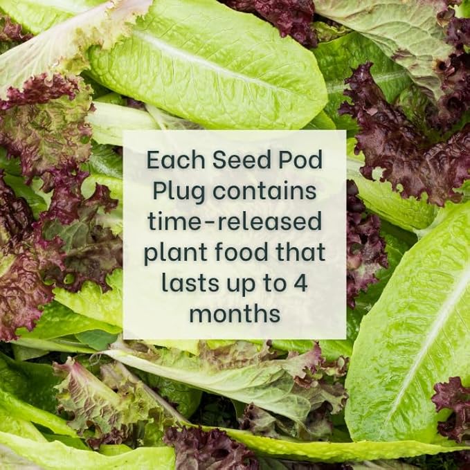 Gardeners' Choice Products Heirloom Cutting Mix Lettuce - Complete Seed Pod Plugs with Plant Food - 10 Pods for Hydroponic Gardens, Click and Grow, Lettuce Grow and Outdoor Gardens