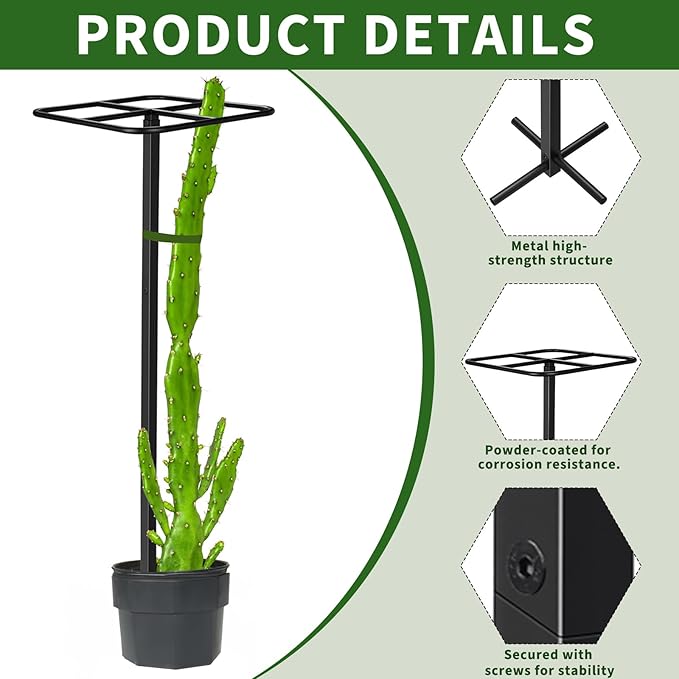 1 Pcs Heavy Duty Dragon Fruit Trellis 12"x12"x50", Adjustable Metal Dragon Plant Support Stand, Durable Vertical Trellis for Climbing Plants, No-Hammer Assembly for Outdoor Garden(Square)