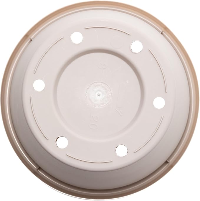 Bloem Terra 8" Diameter Round Pebble Stone Resin Planter Pot with Drainage Holes for Indoor and Outdoor Gardening