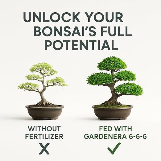 𝐁𝐄𝐒𝐓𝐒𝐄𝐋𝐋𝐄𝐑 Bonsai Fertilizer Pellets – Slow-Release Bonsai Tree Fertilizer & Food for Compact Growth, Dense Branching & Healthy Roots | Ideal for All Bonsai & Money Trees [16 OZ]