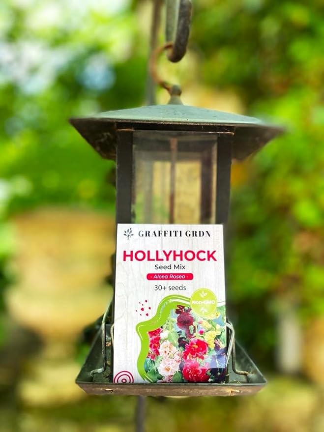 Hollyhock Double Flower Seed Mix Multicolor Terry Mallow Malva Alcea Rosea Climbing Rose 30+ Seeds for Planting Garden Flower Seeds