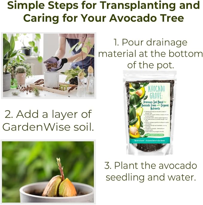 GARDENWISE Avocado Tree Soil – Premium Organic Potting Mix for Avocado Trees | Tailored pH & Organic Nutrients | Fast-Draining & Moisture-Retaining | Indoor & Outdoor Use (1 Quart)
