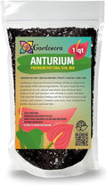 Gardenera Anthurium Potting Soil - Ensure The Health and Success of Your Plants - 1 Quart
