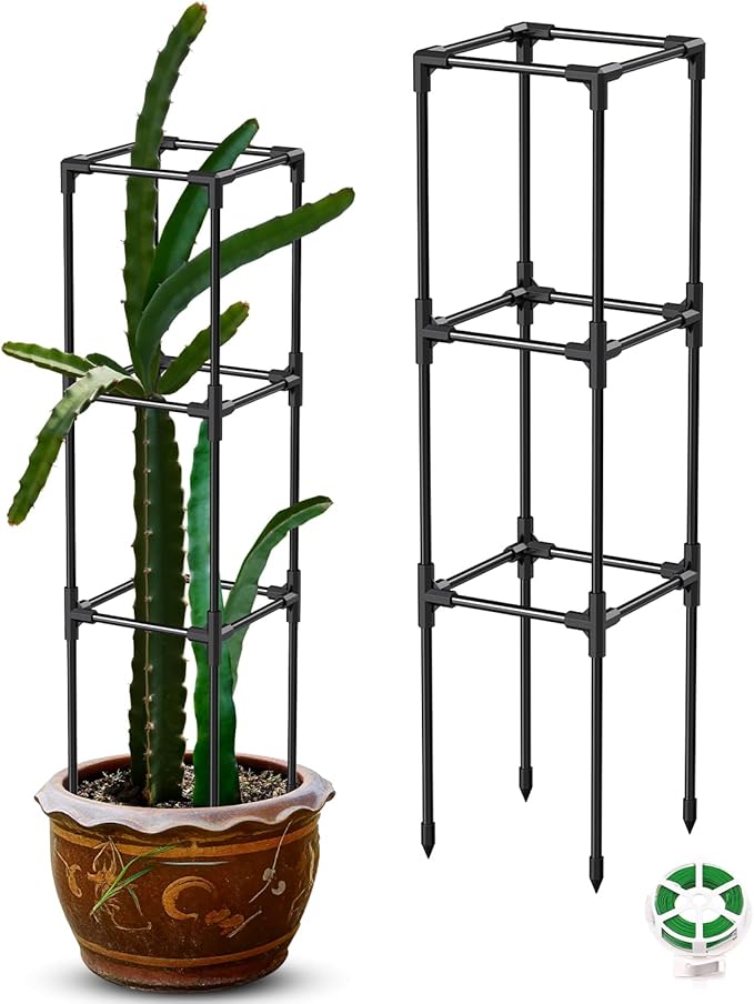 2PCS Dragon Fruit Trellis for Climbing Plants Indoor Outdoor, Heavy Duty Metal Adjustable Vertical Garden Support for Indoor Outdoor Potted Plants, Tomato, Cactus, Roses,Vines(10 * 10 * 47inch,2PC)